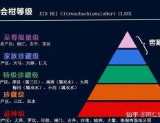 陈皮世家揭秘新会陈皮90%的人不知道的秘密，你都买对了吗？