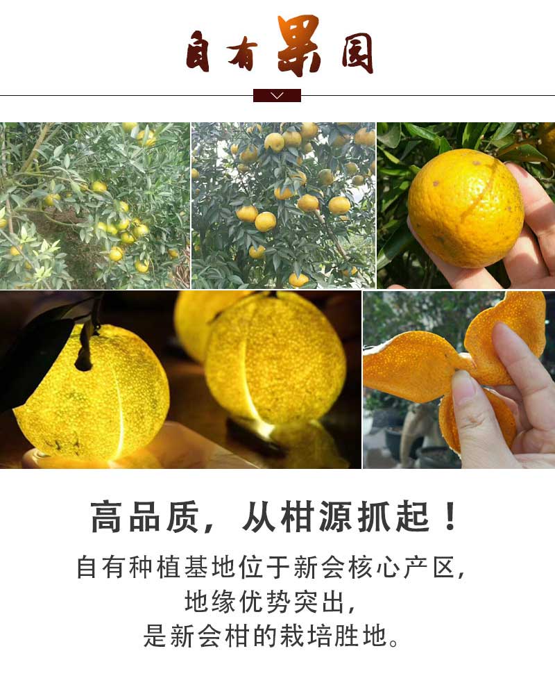 陈皮商城